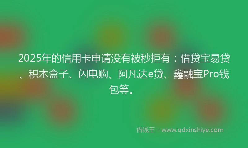 2025年的信用卡申请没有被秒拒有：借贷宝易贷、积木盒子、闪电购、阿凡达e贷、鑫融宝Pro钱包等。