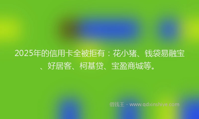 2025年的信用卡全被拒有：花小猪、钱袋易融宝、好居客、柯基贷、宝盈商城等。