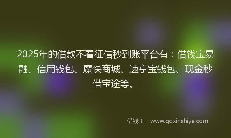 2025年的借款不看征信秒到账平台有：借钱宝易融、信用钱包、魔快商城、速享宝钱包、现金秒借宝途等。