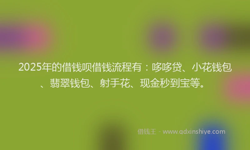 2025年的借钱呗借钱流程有：哆哆贷、小花钱包、翡翠钱包、射手花、现金秒到宝等。