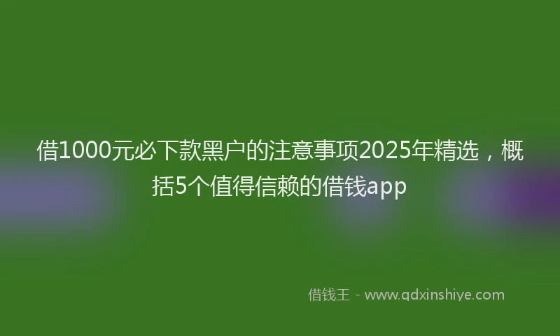 借1000元必下款黑户的注意事项2025年精选，概括5个值得信赖的借钱app