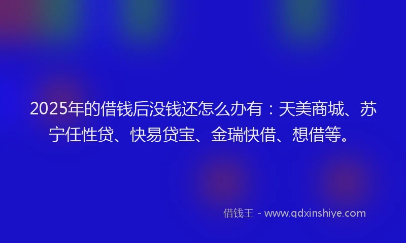 2025年的借钱后没钱还怎么办有：天美商城、苏宁任性贷、快易贷宝、金瑞快借、想借等。