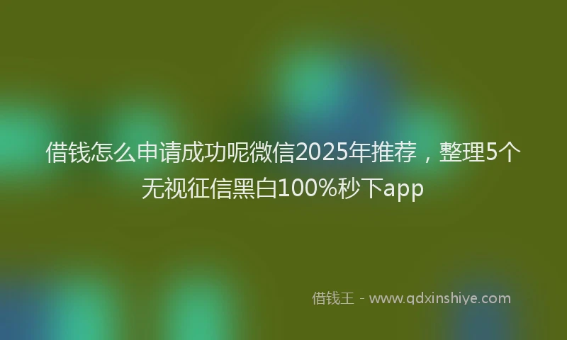 借钱怎么申请成功呢微信2025年推荐，整理5个无视征信黑白100%秒下app