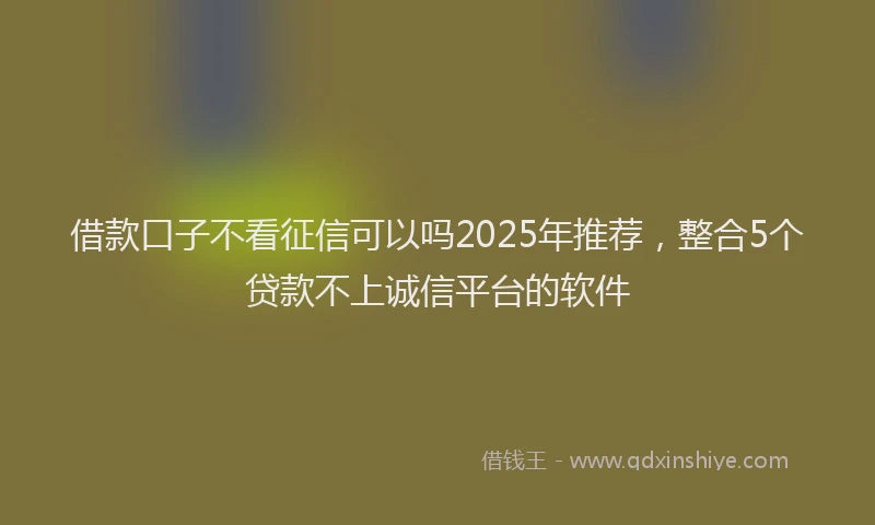 借款口子不看征信可以吗2025年推荐，整合5个贷款不上诚信平台的软件