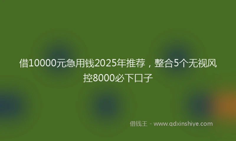 借10000元急用钱2025年推荐，整合5个无视风控8000必下口子