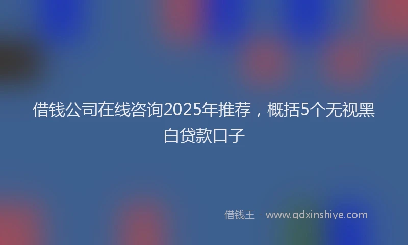 借钱公司在线咨询2025年推荐，概括5个无视黑白贷款口子