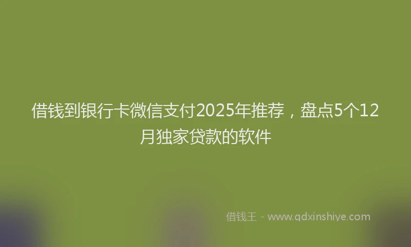 借钱到银行卡微信支付2025年推荐，盘点5个12月独家贷款的软件