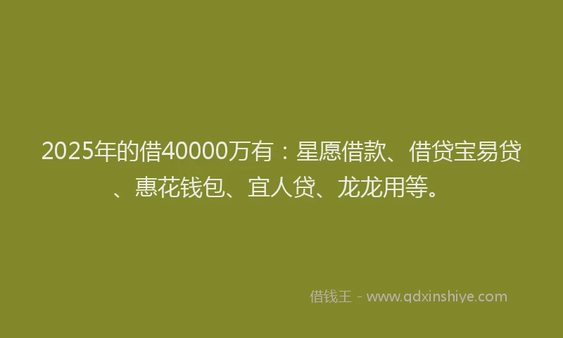2025年的借40000万有：星愿借款、借贷宝易贷、惠花钱包、宜人贷、龙龙用等。