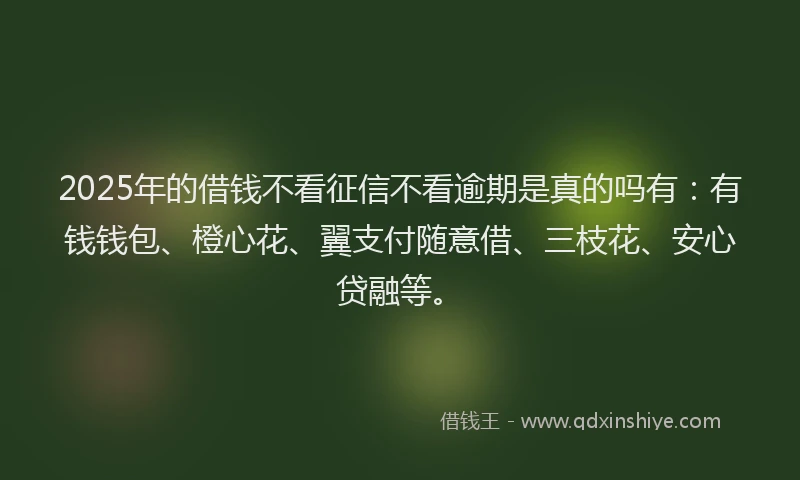 2025年的借钱不看征信不看逾期是真的吗有：有钱钱包、橙心花、翼支付随意借、三枝花、安心贷融等。