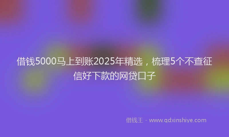 借钱5000马上到账2025年精选，梳理5个不查征信好下款的网贷口子