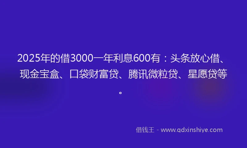 2025年的借3000一年利息600有：头条放心借、现金宝盒、口袋财富贷、腾讯微粒贷、星愿贷等。