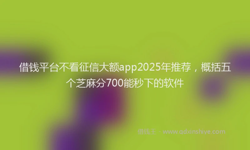 借钱平台不看征信大额app2025年推荐，概括五个芝麻分700能秒下的软件