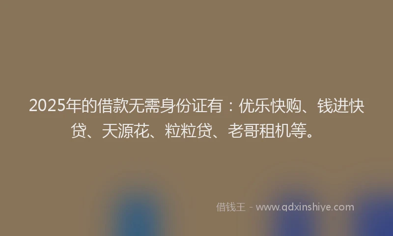 2025年的借款无需身份证有：优乐快购、钱进快贷、天源花、粒粒贷、老哥租机等。