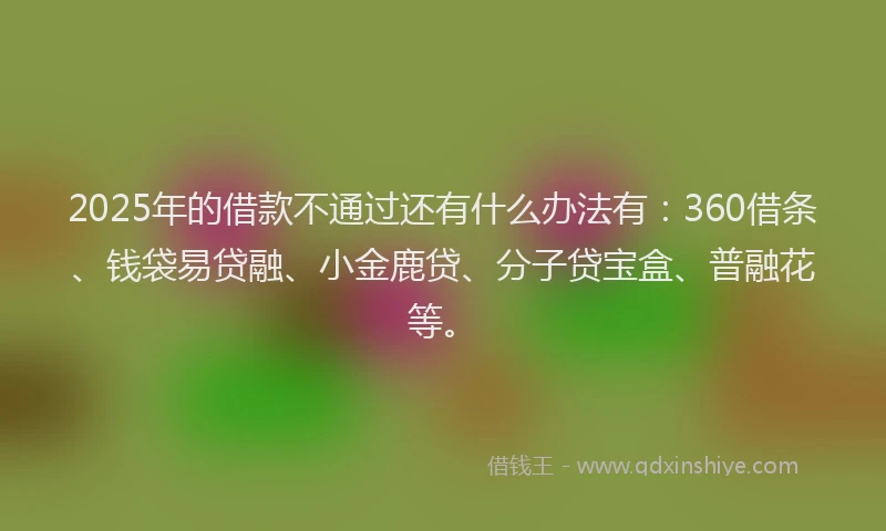 2025年的借款不通过还有什么办法有：360借条、钱袋易贷融、小金鹿贷、分子贷宝盒、普融花等。