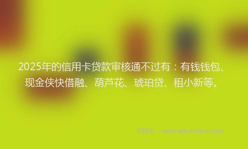 2025年的信用卡贷款审核通不过有:有钱钱包、现金侠快借融、葫芦花、琥珀贷、租小新等。