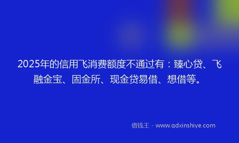 2025年的信用飞消费额度不通过有：臻心贷、飞融金宝、固金所、现金贷易借、想借等。