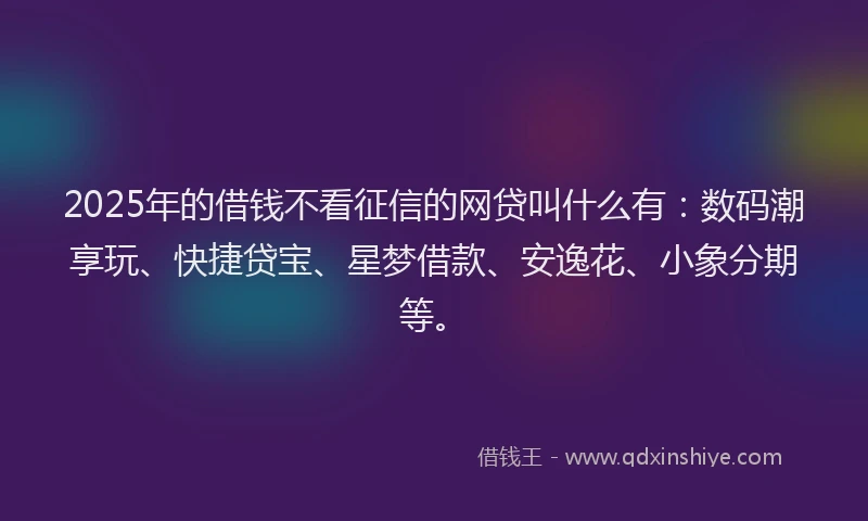 2025年的借钱不看征信的网贷叫什么有：数码潮享玩、快捷贷宝、星梦借款、安逸花、小象分期等。