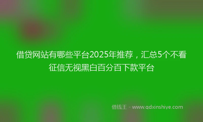 借贷网站有哪些平台2025年推荐,汇总5个不看征信无视黑白百分百下款平台