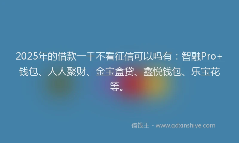 2025年的借款一千不看征信可以吗有：智融Pro+钱包、人人聚财、金宝盒贷、鑫悦钱包、乐宝花等。