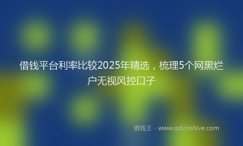 借钱平台利率比较2025年精选，梳理5个网黑烂户无视风控口子