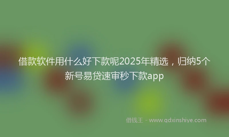 借款软件用什么好下款呢2025年精选，归纳5个新号易贷速审秒下款app