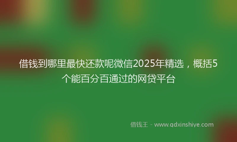 借钱到哪里最快还款呢微信2025年精选，概括5个能百分百通过的网贷平台