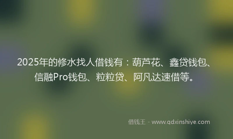 2025年的修水找人借钱有：葫芦花、鑫贷钱包、信融Pro钱包、粒粒贷、阿凡达速借等。