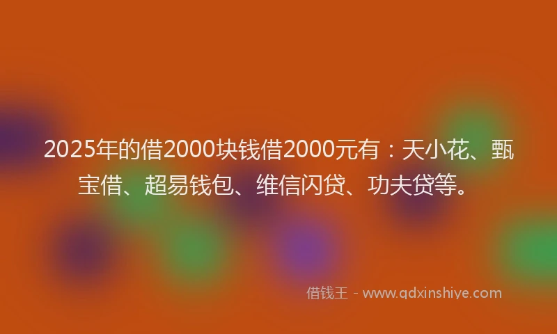 2025年的借2000块钱借2000元有：天小花、甄宝借、超易钱包、维信闪贷、功夫贷等。