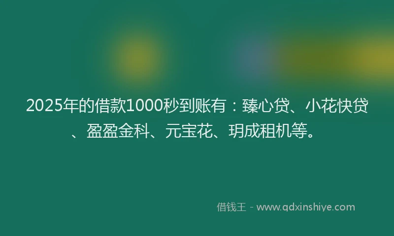 2025年的借款1000秒到账有：臻心贷、小花快贷、盈盈金科、元宝花、玥成租机等。