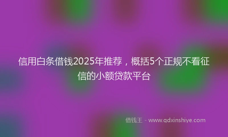 信用白条借钱2025年推荐，概括5个正规不看征信的小额贷款平台