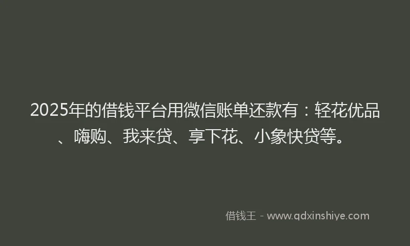 2025年的借钱平台用微信账单还款有：轻花优品、嗨购、我来贷、享下花、小象快贷等。