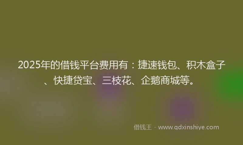 2025年的借钱平台费用有：捷速钱包、积木盒子、快捷贷宝、三枝花、企鹅商城等。
