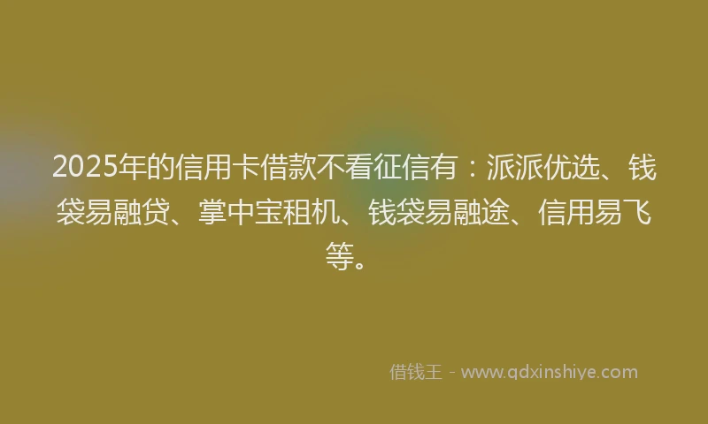 2025年的信用卡借款不看征信有：派派优选、钱袋易融贷、掌中宝租机、钱袋易融途、信用易飞等。