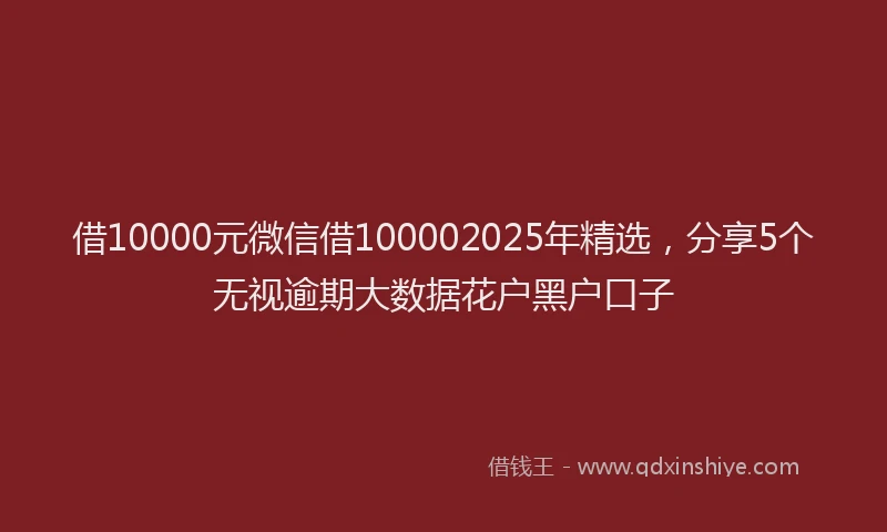 借10000元微信借100002025年精选，分享5个无视逾期大数据花户黑户口子