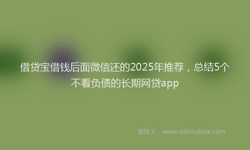 借贷宝借钱后面微信还的2025年推荐，总结5个不看负债的长期网贷app
