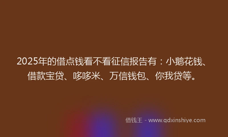 2025年的借点钱看不看征信报告有：小鹅花钱、借款宝贷、哆哆米、万信钱包、你我贷等。