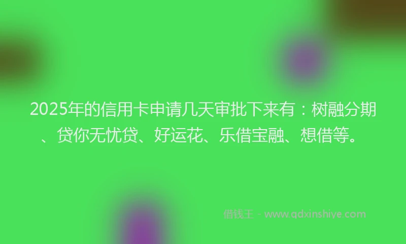 2025年的信用卡申请几天审批下来有：树融分期、贷你无忧贷、好运花、乐借宝融、想借等。