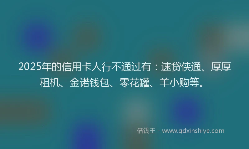 2025年的信用卡人行不通过有：速贷侠通、厚厚租机、金诺钱包、零花罐、羊小购等。