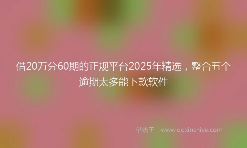 借20万分60期的正规平台2025年精选，整合五个逾期太多能下款软件