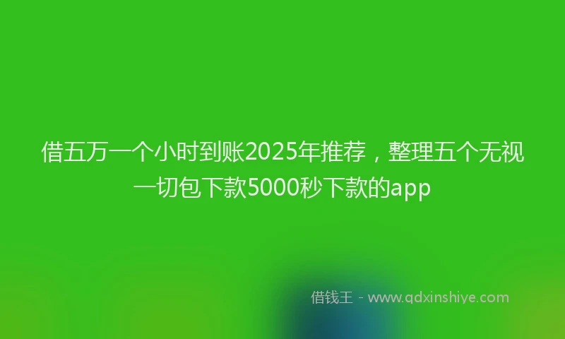 借五万一个小时到账2025年推荐，整理五个无视一切包下款5000秒下款的app