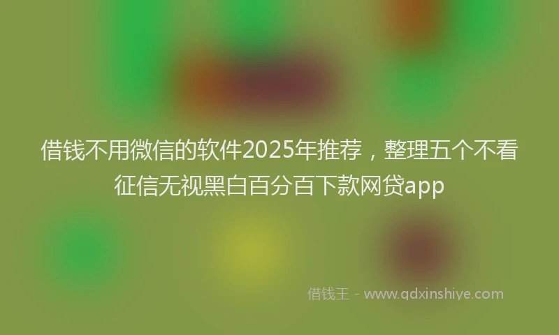 借钱不用微信的软件2025年推荐，整理五个不看征信无视黑白百分百下款网贷app