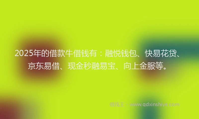 2025年的借款牛借钱有：融悦钱包、快易花贷、京东易借、现金秒融易宝、向上金服等。