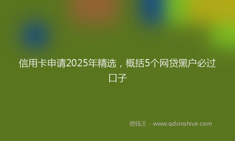 信用卡申请2025年精选，概括5个网贷黑户必过口子