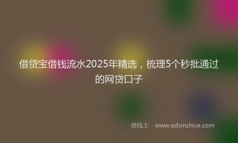 借贷宝借钱流水2025年精选，梳理5个秒批通过的网贷口子