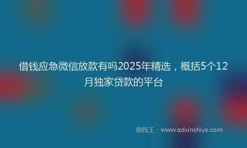 借钱应急微信放款有吗2025年精选，概括5个12月独家贷款的平台