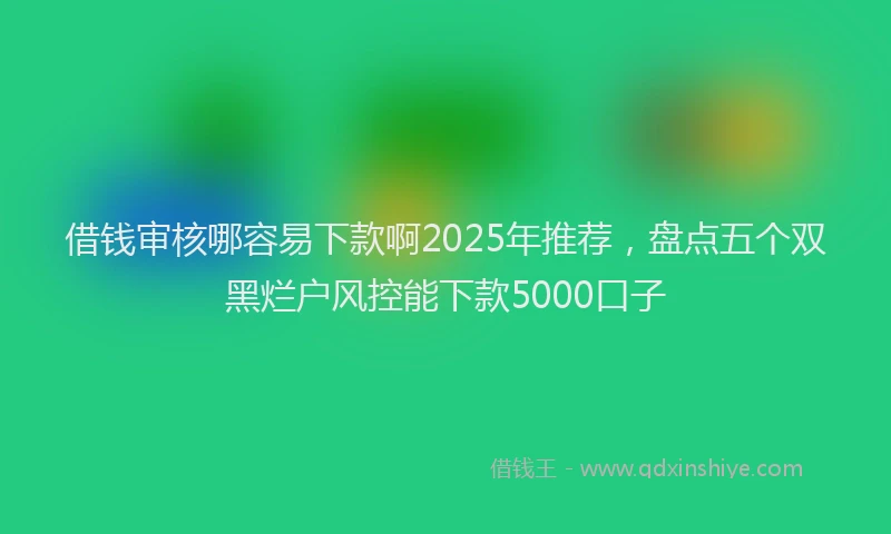 借钱审核哪容易下款啊2025年推荐，盘点五个双黑烂户风控能下款5000口子