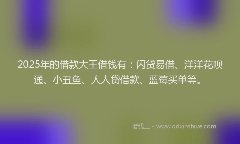 2025年的借款大王借钱有：闪贷易借、洋洋花呗通、小丑鱼、人人贷借款、蓝莓买单等。