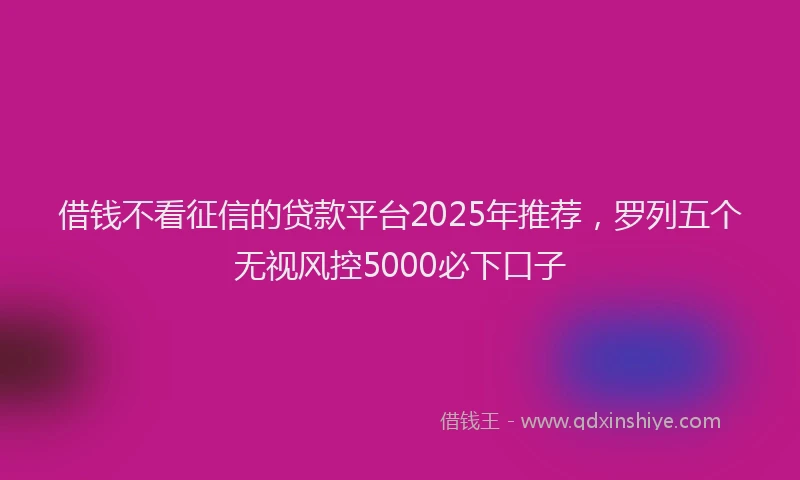 借钱不看征信的贷款平台2025年推荐，罗列五个无视风控5000必下口子