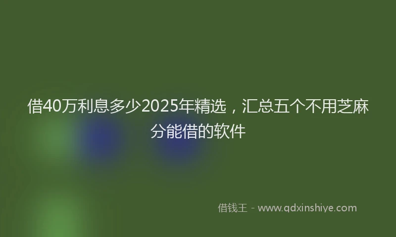 借40万利息多少2025年精选，汇总五个不用芝麻分能借的软件