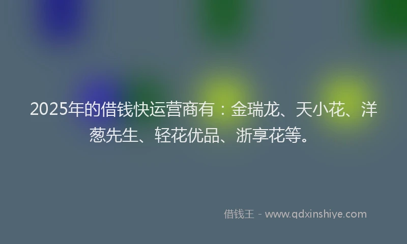 2025年的借钱快运营商有：金瑞龙、天小花、洋葱先生、轻花优品、浙享花等。